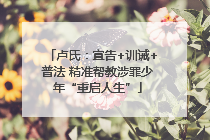 卢氏：宣告+训诫+普法 精准帮教涉罪少年“重启人生”