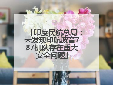 印度民航总局：未发现印航波音787机队存在重大安全问题