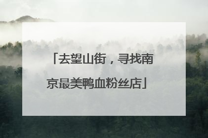 去望山街，寻找南京最美鸭血粉丝店