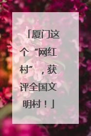 厦门这个“网红村”，获评全国文明村！