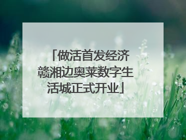 做活首发经济 赣湘边奥莱数字生活城正式开业