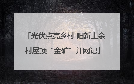 光伏点亮乡村 阳新上余村屋顶“金矿”并网记