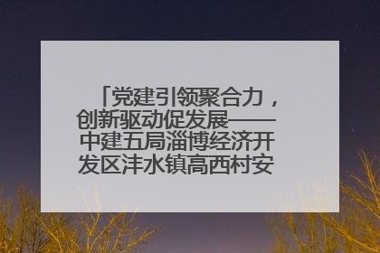 党建引领聚合力，创新驱动促发展——中建五局淄博经济开发区沣水镇高西村安置项目建设纪实