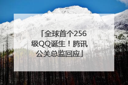 全球首个256级QQ诞生！腾讯公关总监回应