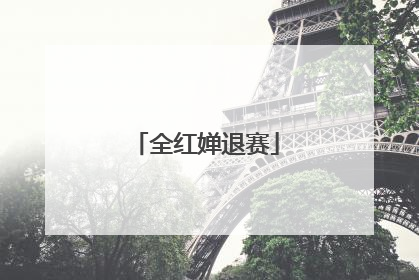 全红婵退赛