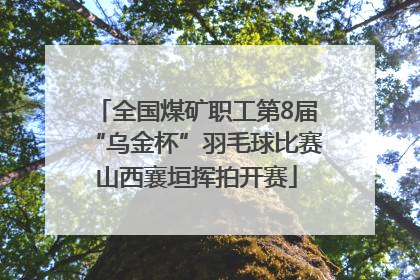 全国煤矿职工第8届“乌金杯”羽毛球比赛山西襄垣挥拍开赛
