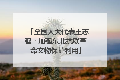 全国人大代表王志强：加强东北抗联革命文物保护利用