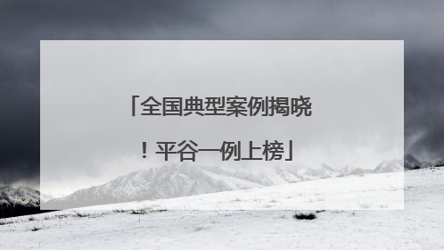 全国典型案例揭晓！平谷一例上榜
