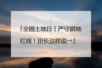 全国土地日丨严守耕地红线！田长这样说→