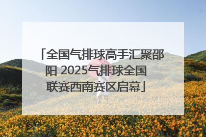全国气排球高手汇聚邵阳 2025气排球全国联赛西南赛区启幕