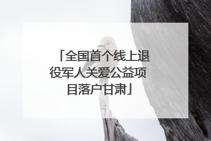 全国首个线上退役军人关爱公益项目落户甘肃