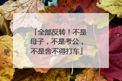 全部反转！不是母子，不是考公，不是舍不得打车