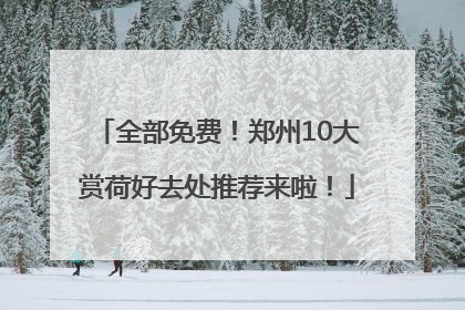 全部免费！郑州10大赏荷好去处推荐来啦！
