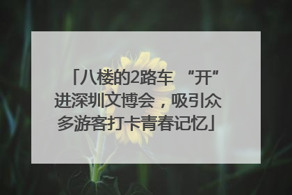 八楼的2路车 “开” 进深圳文博会，吸引众多游客打卡青春记忆