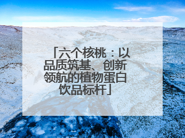 六个核桃：以品质筑基、创新领航的植物蛋白饮品标杆