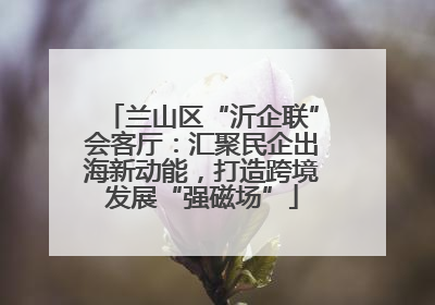 兰山区“沂企联”会客厅：汇聚民企出海新动能，打造跨境发展“强磁场”