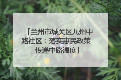 兰州市城关区九州中路社区：落实惠民政策 传递中路温度
