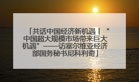 共话中国经济新机遇丨“中国超大规模市场带来巨大机遇”——访塞尔维亚经济部国务秘书尼科利奇