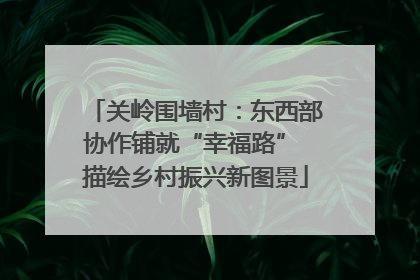 关岭围墙村：东西部协作铺就“幸福路” 描绘乡村振兴新图景