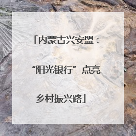 内蒙古兴安盟：“阳光银行”点亮乡村振兴路