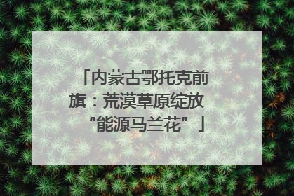内蒙古鄂托克前旗：荒漠草原绽放“能源马兰花”