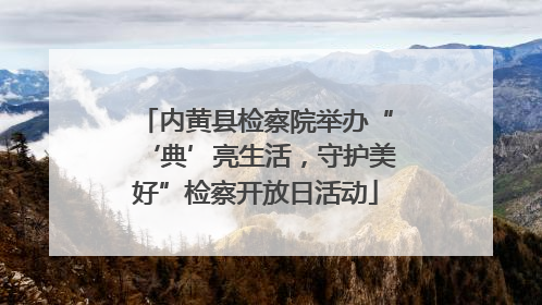 内黄县检察院举办“‘典’亮生活，守护美好”检察开放日活动