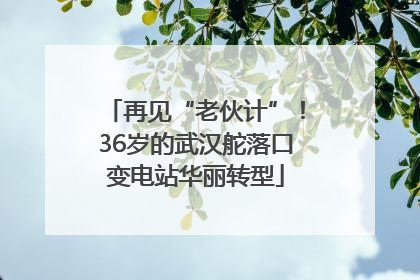 再见“老伙计”！36岁的武汉舵落口变电站华丽转型