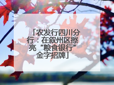 农发行四川分行：在叙州区擦亮“粮食银行”金字招牌