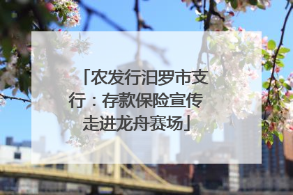 农发行汨罗市支行：存款保险宣传走进龙舟赛场
