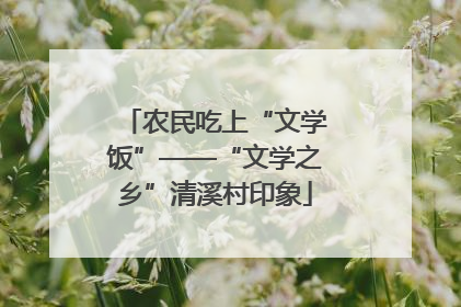农民吃上“文学饭”——“文学之乡”清溪村印象