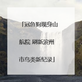 冠鱼狗现身山航院 刷新滨州市鸟类新纪录
