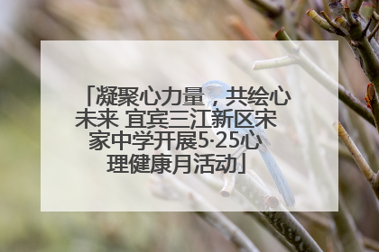 凝聚心力量，共绘心未来 宜宾三江新区宋家中学开展5·25心理健康月活动