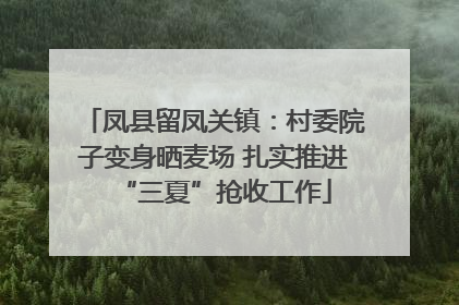 凤县留凤关镇：村委院子变身晒麦场 扎实推进“三夏”抢收工作