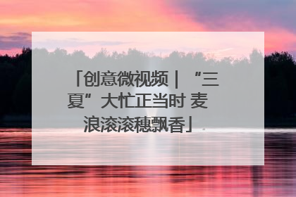 创意微视频｜“三夏”大忙正当时 麦浪滚滚穗飘香