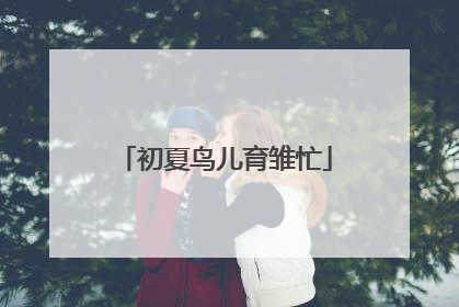 初夏鸟儿育雏忙