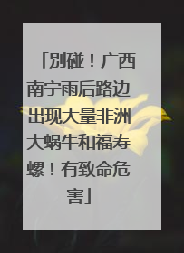 别碰！广西南宁雨后路边出现大量非洲大蜗牛和福寿螺！有致命危害