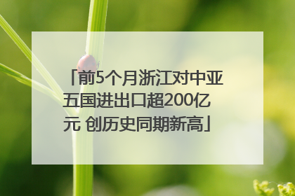 前5个月浙江对中亚五国进出口超200亿元 创历史同期新高