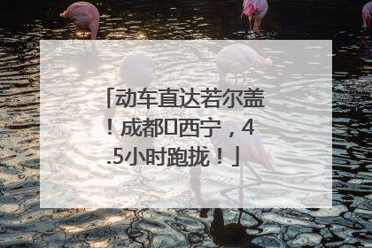 动车直达若尔盖！成都⇄西宁，4.5小时跑拢！