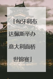 匈牙利布达佩斯举办意大利面桥世锦赛