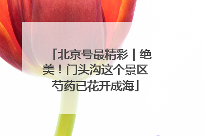 北京号最精彩｜绝美！门头沟这个景区芍药已花开成海