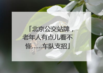 北京公交站牌，老年人有点儿看不懂……车队支招