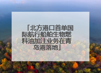 北方港口首单国际航行船舶生物燃料油加注业务在青岛港落地