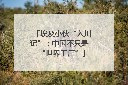 埃及小伙“入川记”：中国不只是“世界工厂”