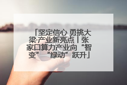 坚定信心 勇挑大梁·产业新亮点丨张家口算力产业向“智变”“绿动”跃升
