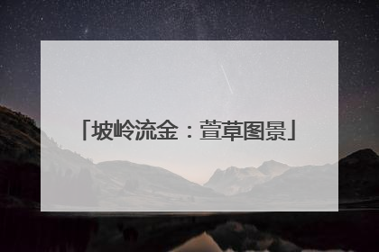 坡岭流金：萱草图景