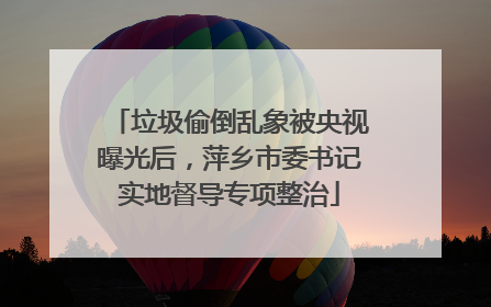 垃圾偷倒乱象被央视曝光后，萍乡市委书记实地督导专项整治