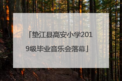 垫江县高安小学2019级毕业音乐会落幕