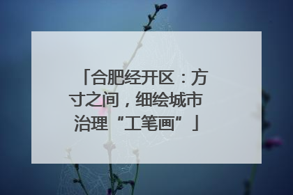 合肥经开区：方寸之间，细绘城市治理“工笔画”