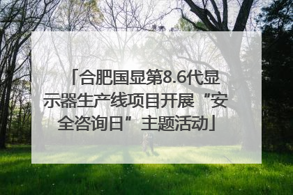 合肥国显第8.6代显示器生产线项目开展“安全咨询日”主题活动