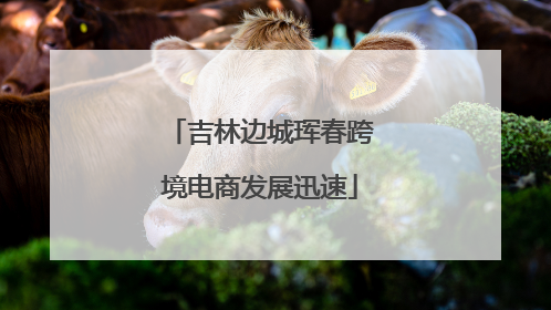 吉林边城珲春跨境电商发展迅速